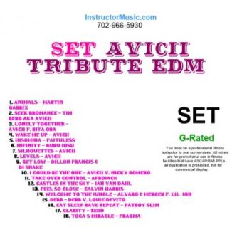 SET Avicii Tribute EDM 6