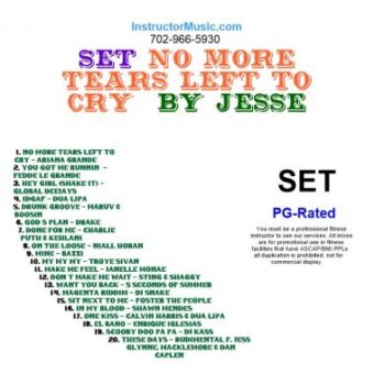 SET No More Tears Left To Cry by Jesse 6